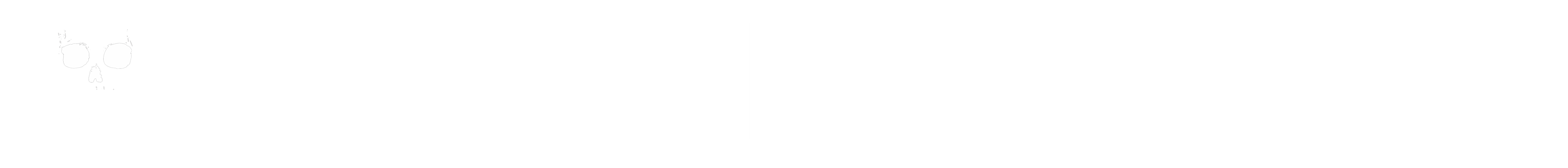 Battle Flag Apparel logo